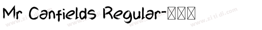 Mr Canfields Regular字体转换